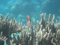 Cairns10