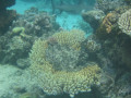 Cairns12
