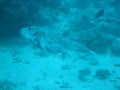 Cairns23