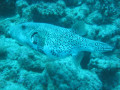 Cairns24