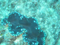 Cairns26