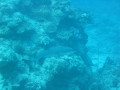 Cairns3
