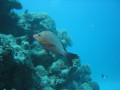 Cairns4