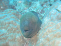 Cairns48