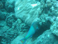Cairns5