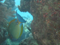 Cairns54