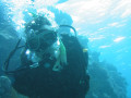 Cairns58