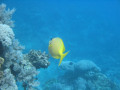Cairns72