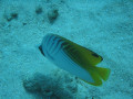 Cairns88