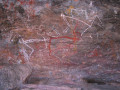 NT6