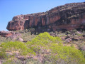 NT9