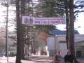 Sydney6