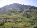 CameronHighlands2