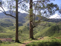 CameronHighlands4