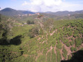 CameronHighlands6