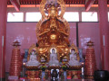 TanahRata10