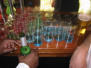 Bal's Stag Do