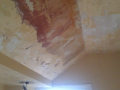 IMAG0146_1