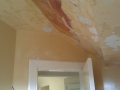 IMAG0148_1