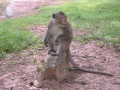 AngkorWat10