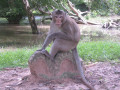 AngkorWat11