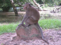 AngkorWat12