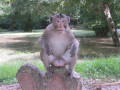 AngkorWat14