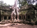 AngkorWat25