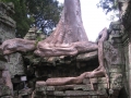 AngkorWat27