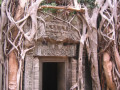 AngkorWat29