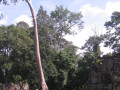 AngkorWat43
