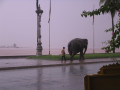 PhnomPenh