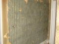 20110116_051