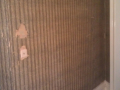 IMAG0110_1