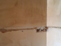 IMAG0226_1