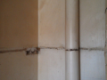 IMAG0229_1
