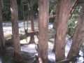 LuangPrabang7