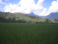 MuangNgoiNeua1