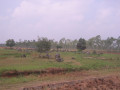 Phonsavan7