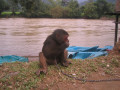VangVieng17