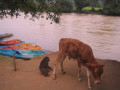 VangVieng19