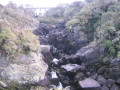 Aratiata2