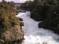 Aratiata4