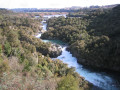 Aratiata5