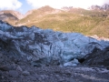 FoxGlacier