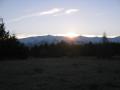 Twizel