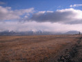 Twizel1