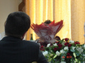 DSC00355