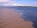 Amazon1