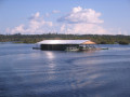 Amazon27